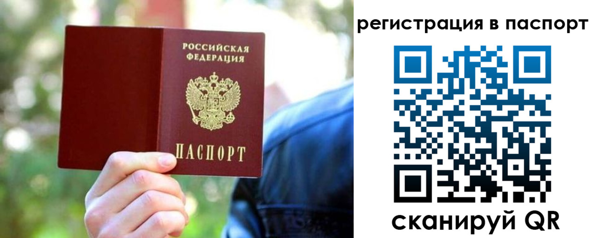 пропишу в квартире в Гатчине